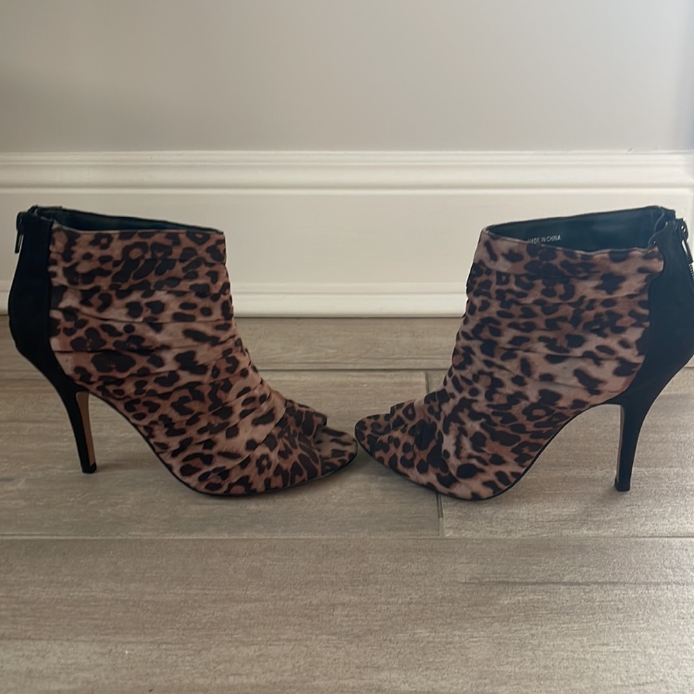 Leopard - Picture 3 of 5